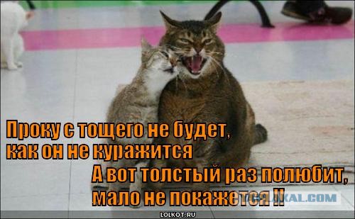 Геноцид женщин