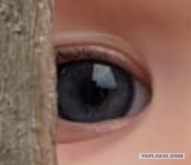 Девочка с удивительными глазами