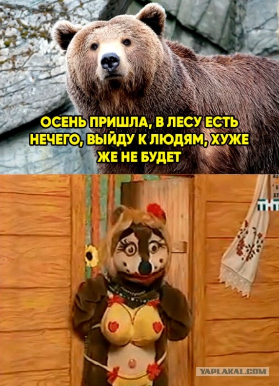 Понедельник пикчерс
