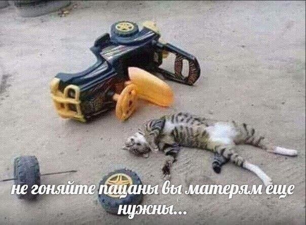 «Картинки разные нужны, картинки разные важны!» ©
