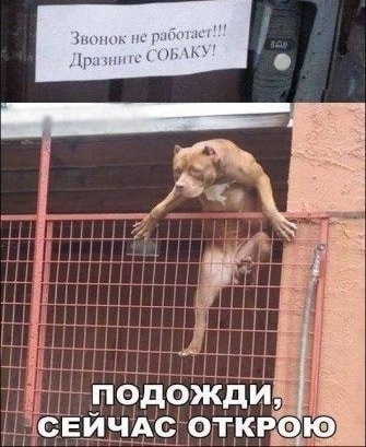Бредзона