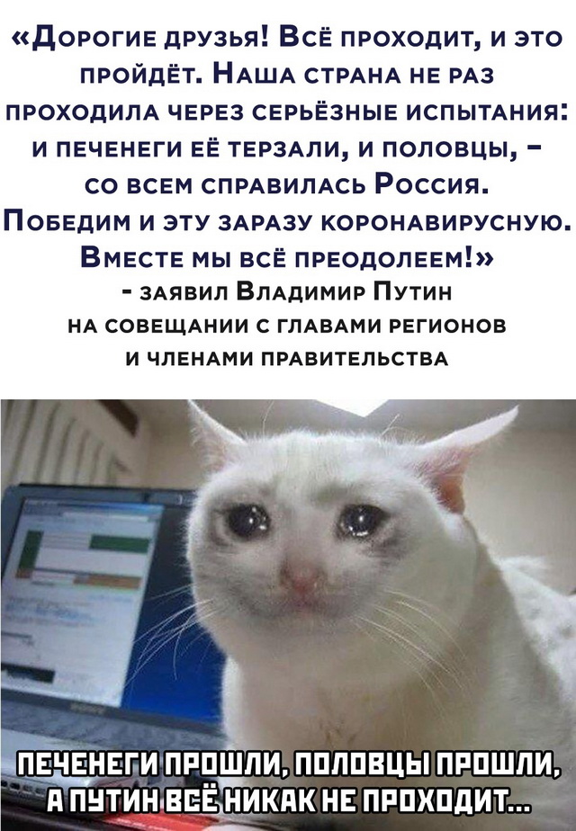 Ну вот и домолчались. Платформа выдачи цифровых пропусков появится в 21 регионе России