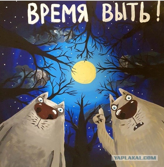 "Доброе утро" по-волчьи