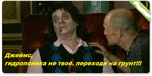 Джеймс Белуши на своей конопляной ферме