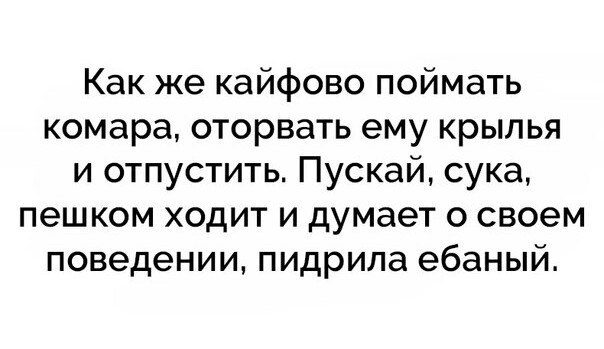 Бредзона 12.12.20