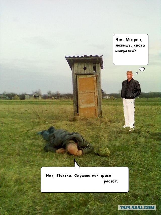 Сельская жизнь