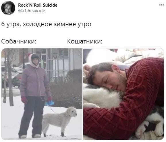 Немного картинок с надписями и без - 20.01.21