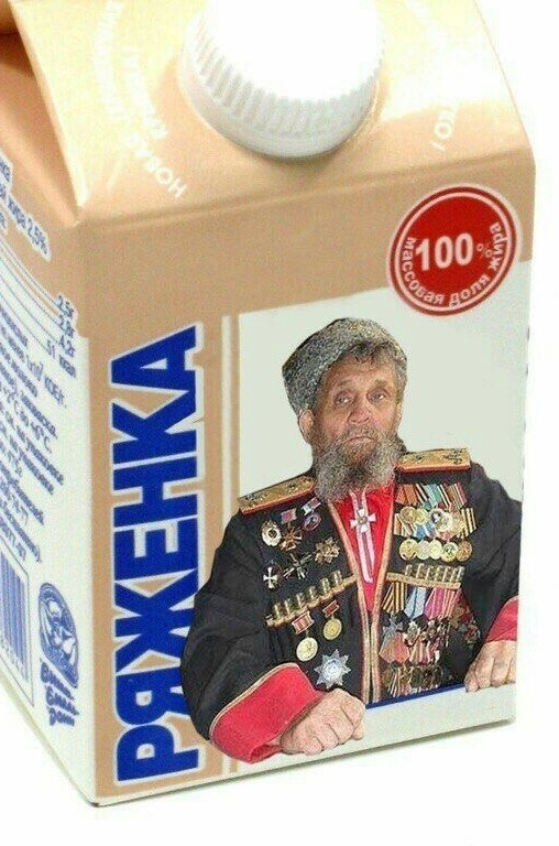 На Урале казачья кибердружина займётся поиском и блокировкой мата в соцсетях