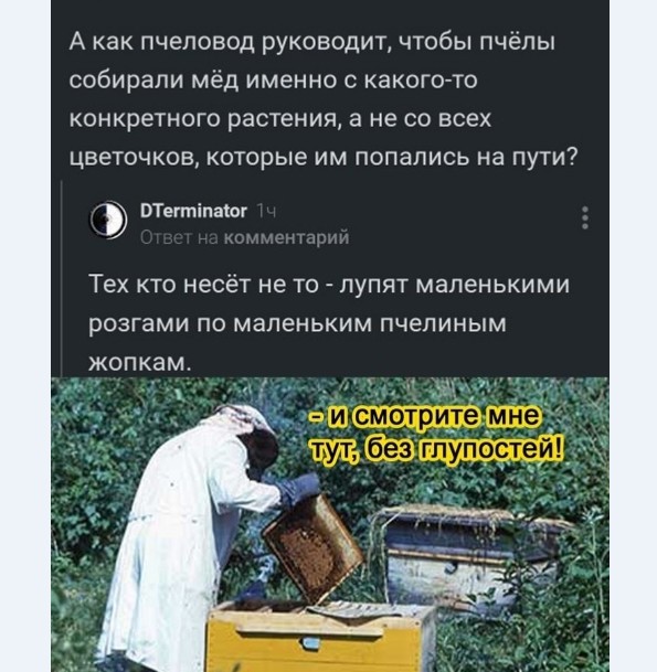 Картинки и мемы для настроения 015