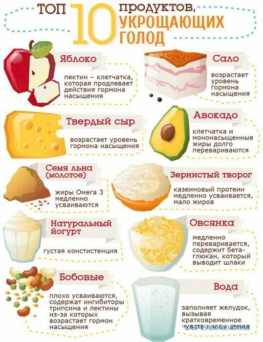 Различные  руководства и инфографики.