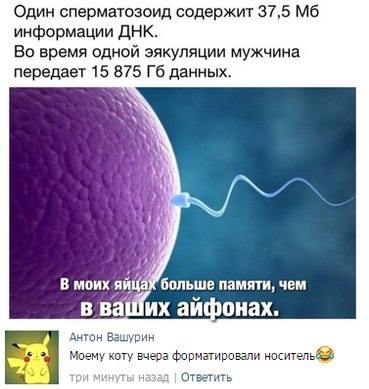 Так себе картинки 01.04.21