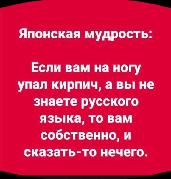 Алкопост 29.05.21