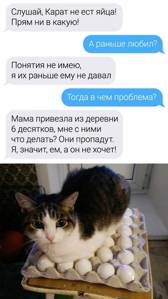 Картинки и мемы для настроения 18.08.2021