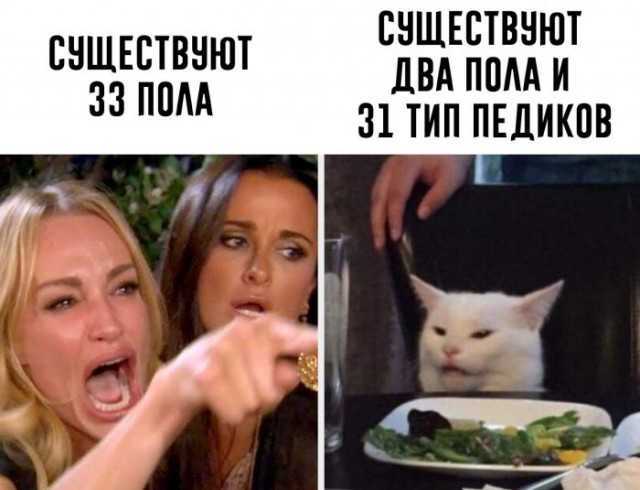 Баянисто-небаянистый юмор 8.01.22