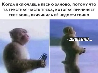 Картинки и мемы для настроения - 21