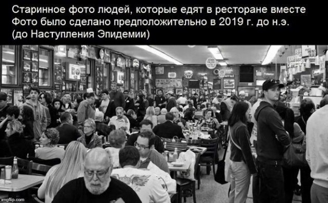 Забавные шутки, фразы, картинки из этих ваших интернетов