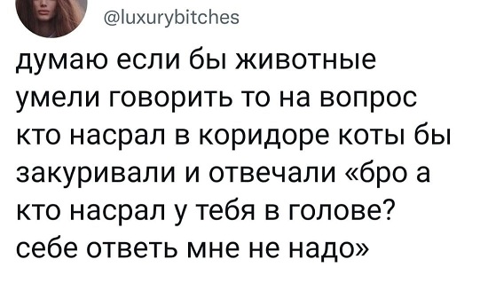 Ну, с богом!
