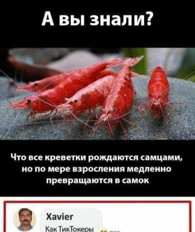Картинки и мемы, всем хороших выходных