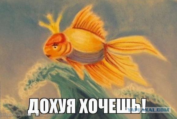 Россияне назвали желаемый размер зарплаты