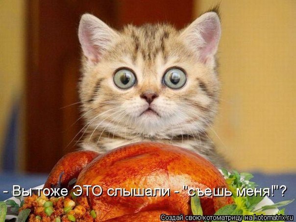 Прикольные и просто красивые картинки 04.11.2022
