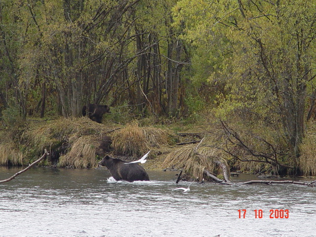 Петропавловск-Камчатский и его окрестности...