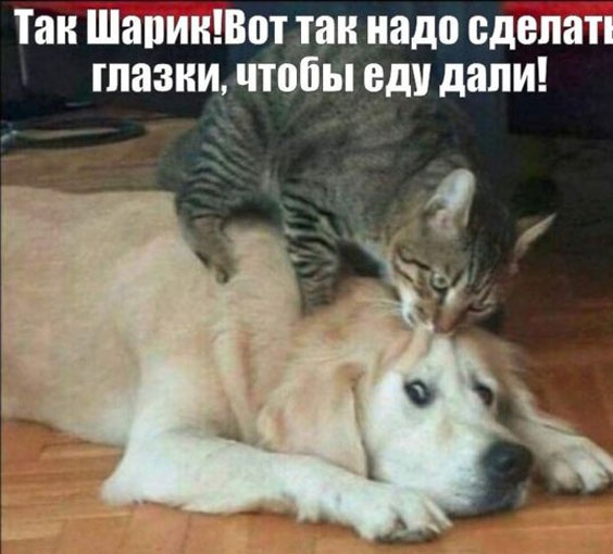 Так себе картинки 16.06.23