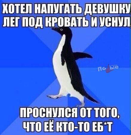 Немного мемчиков. Для взрослых. Часть 32