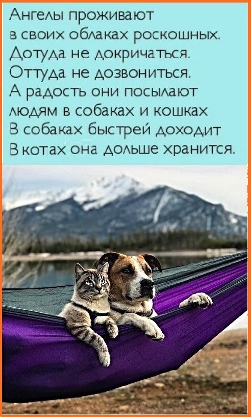Да почему вы так мало живёте!
