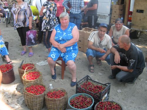 "Скиньте цену до 0 рублей": поведение ЯЖЕМАТерей, выходящее за рамки разумного