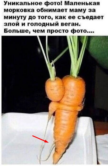 Мои избранные картинки часть 1