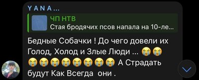 Бездомные собаки напали на десятилетнюю девочку в г.Николаевске-на-Амуре Хабаровского края