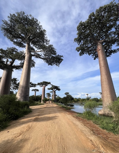 Литературная беседка v.1