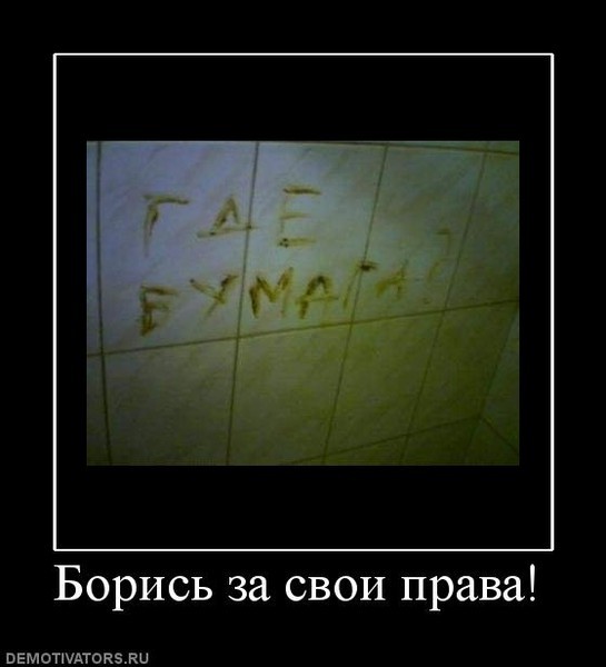 Сколько вы раз отрываете туалетную бумагу?