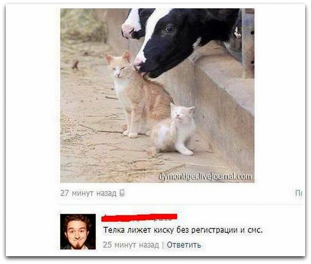 Отлизали киску