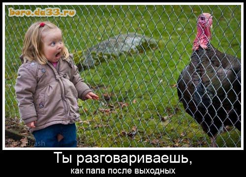 Юмор в буквах за день и неприятный человек