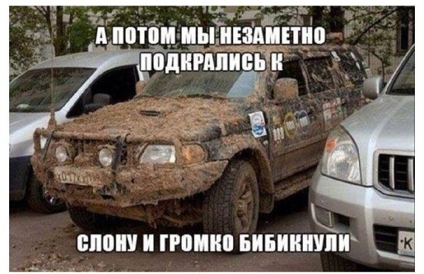 Пятничные бояны