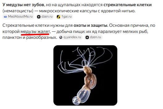 Смерть от укуса медузы в Малайзии
