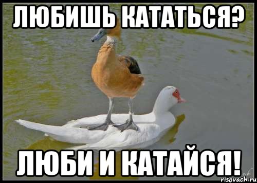 Любишь кататься...