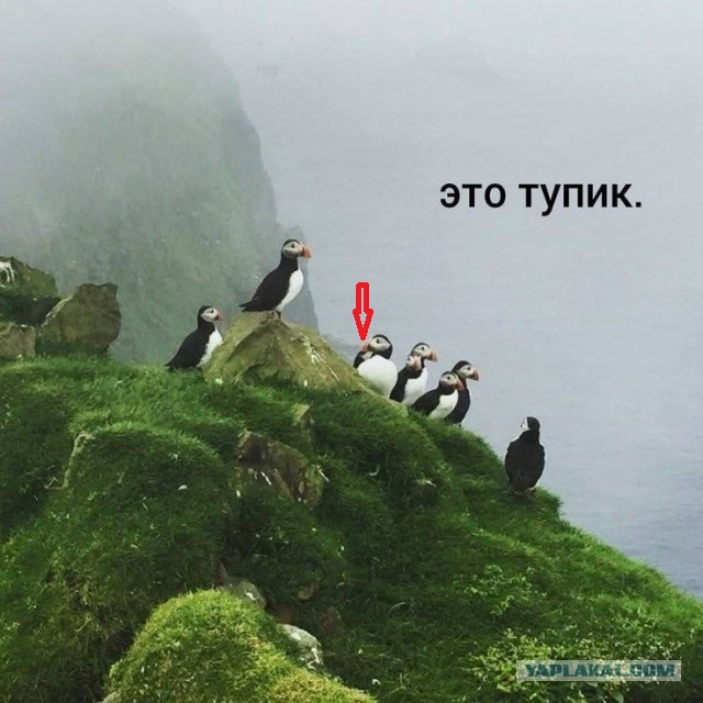 Воскресные картинки