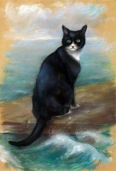 Зачем моряки держали кошек на кораблях — и это не про крыс