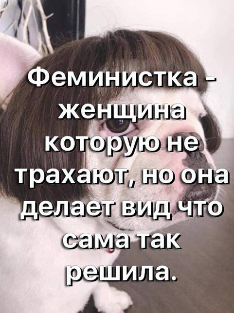 Так себе картинки 04.07.26