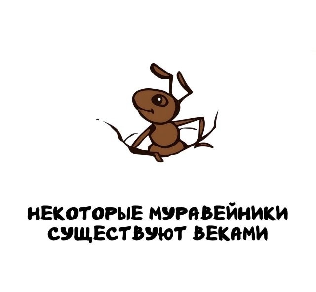 Интересные и короткие факты, на все случаи жизни