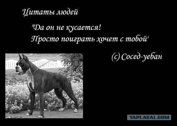Женщины против существ мужского пола