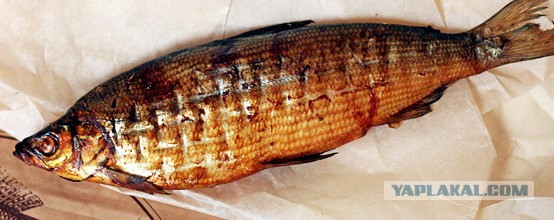 Иностранцы о русской кухне