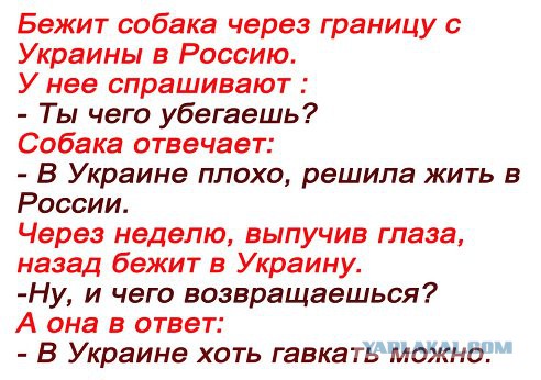 Снова вместе. Крым.