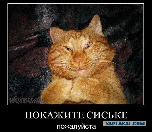 Я хочу замуж