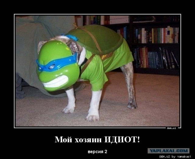 Зато тепло и не дует.