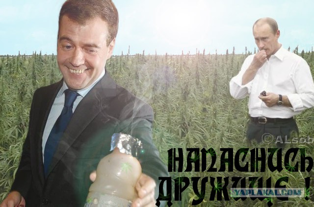 Добряки, плюсующие всех подряд