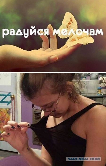 Крик души, когда "СИСЕГ НЕТ"