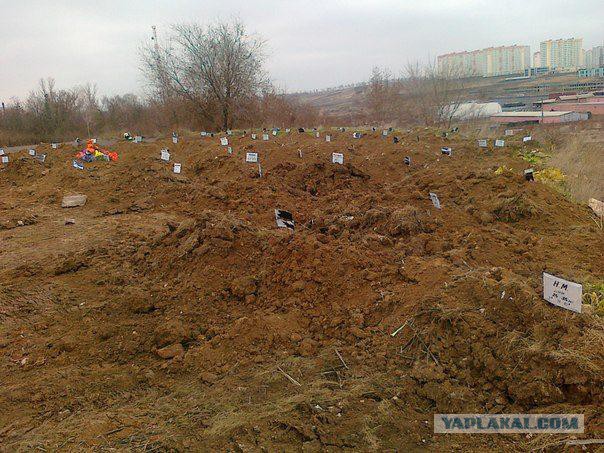 Конфликт на Донбассе забрал жизни 14 тыс.